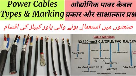 cable意思